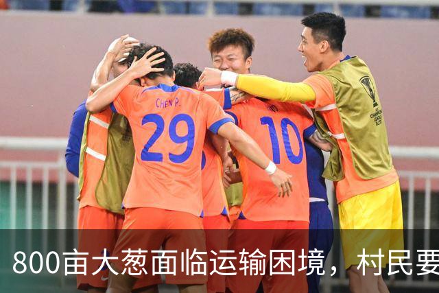 800亩大葱面临运输困境，村民要求流转费