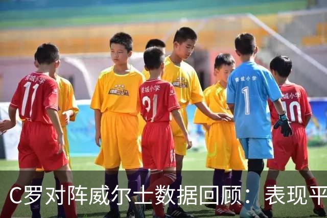 C罗对阵威尔士数据回顾：表现平平，错失良机